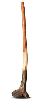 Heartland Didgeridoo (HD569)